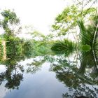 Bali / Ubud / Hanging Garden / Pool
