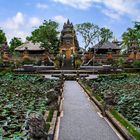 Bali - Ubud/Lotusgarden