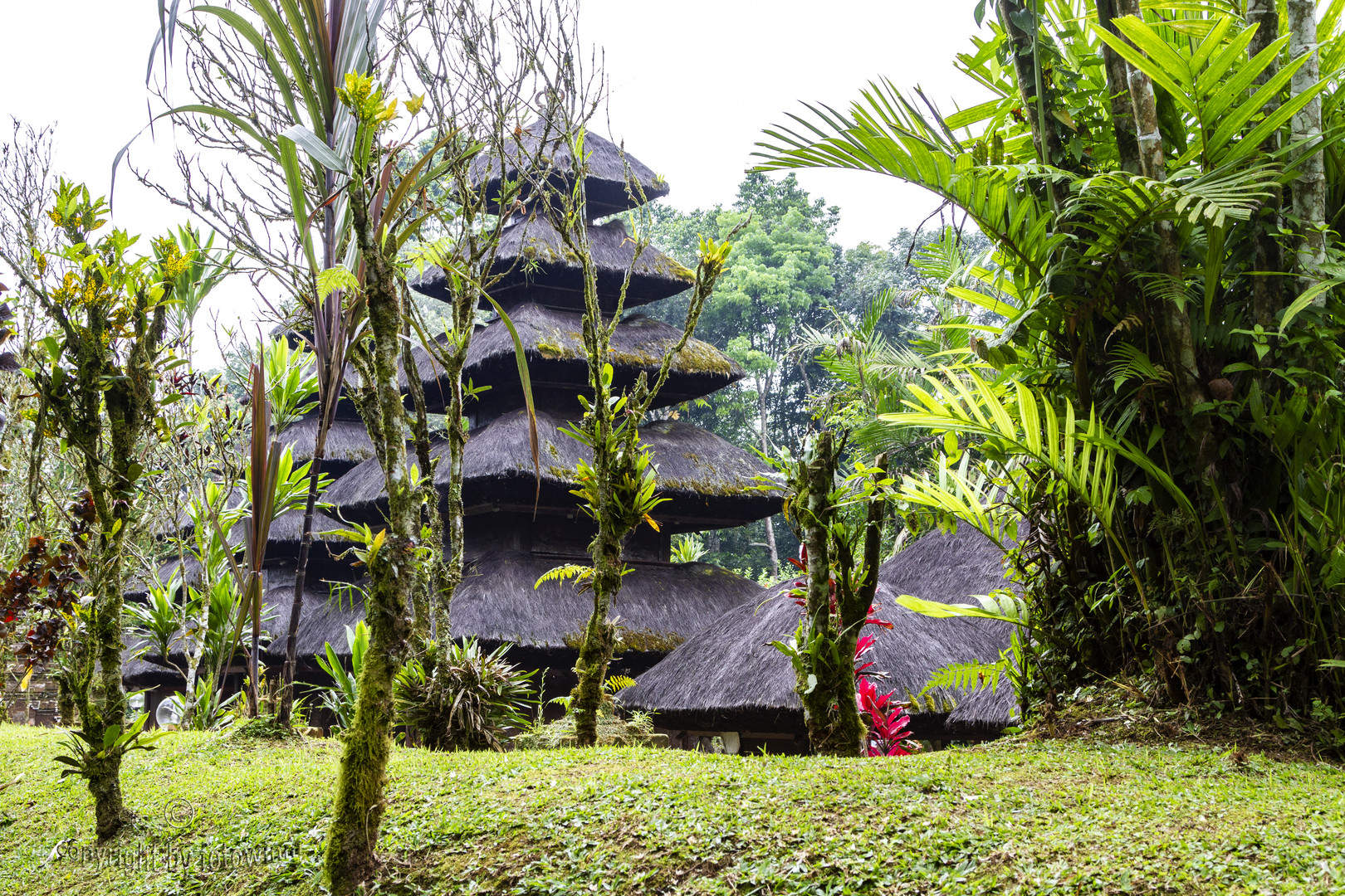 Bali - Urwaldtempel Batukaru