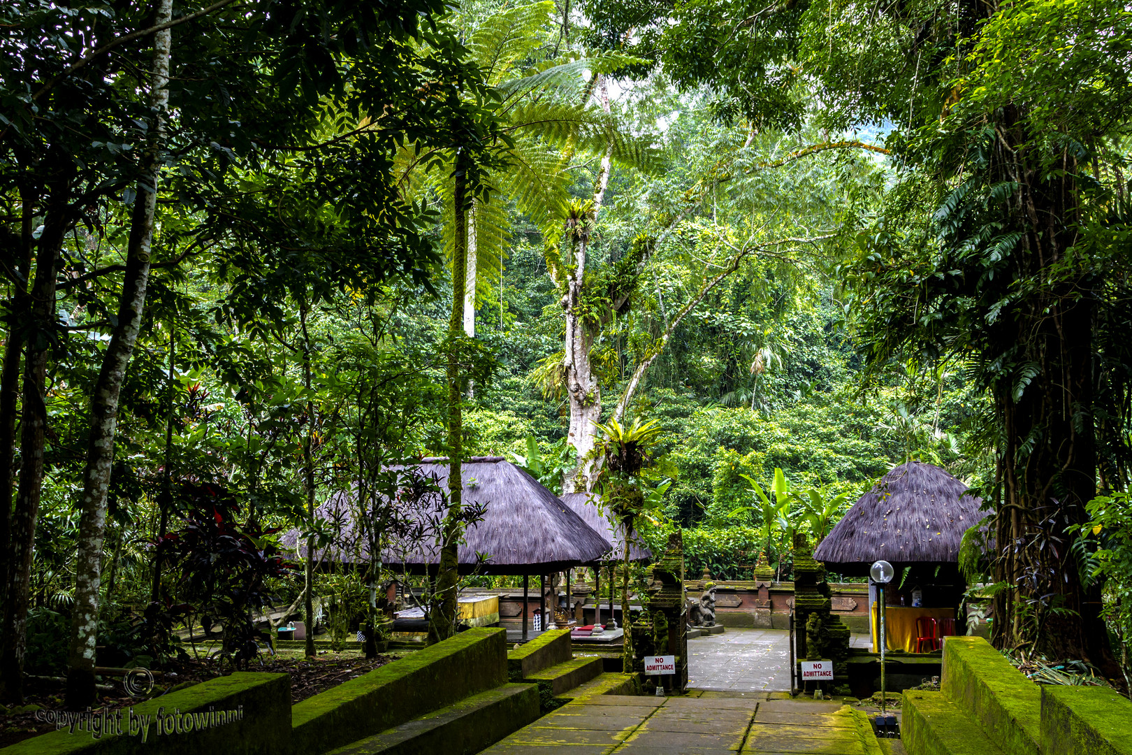 Bali - Urwaldtempel