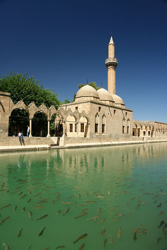 Balikligol/Sanliurfa (Lake with fish/Sanliurfa-Turkiye)