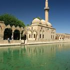 Balikligol/Sanliurfa (Lake with fish/Sanliurfa-Turkiye)