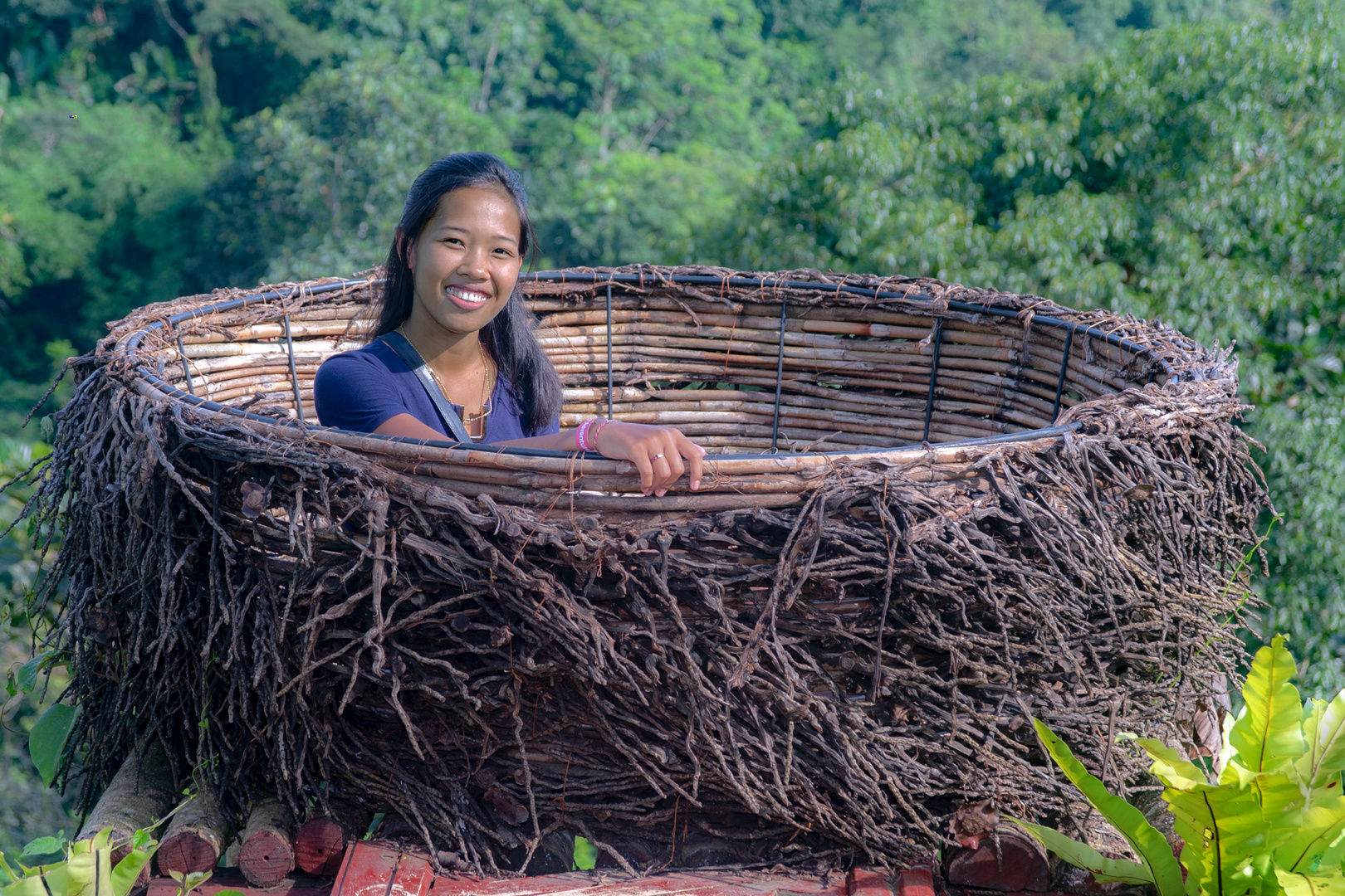 Balinese bird nest