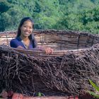 Balinese bird nest