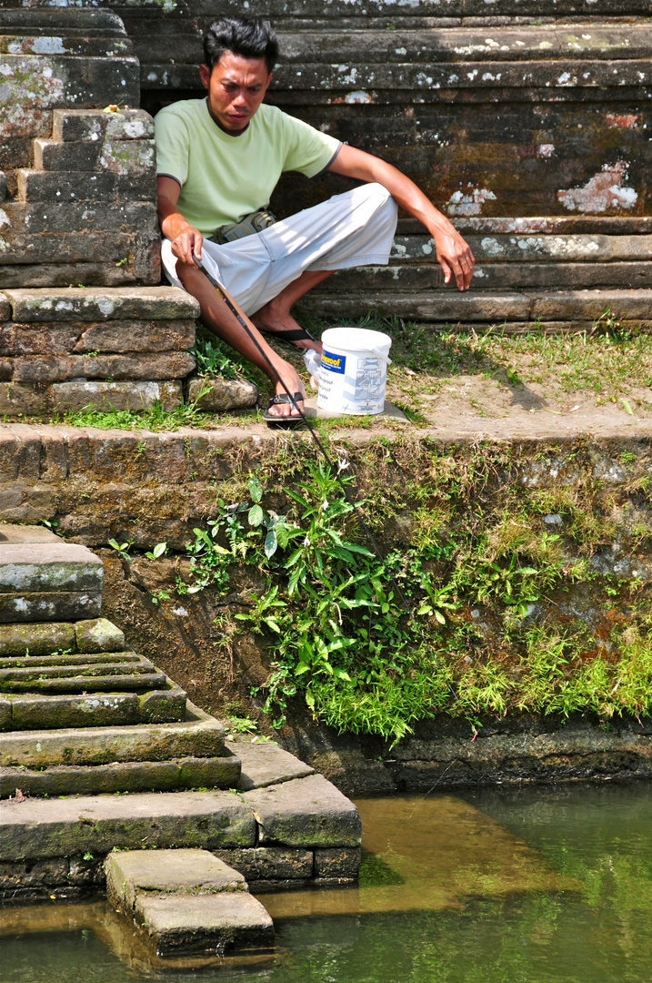 Balinese fischt im Tempelteich