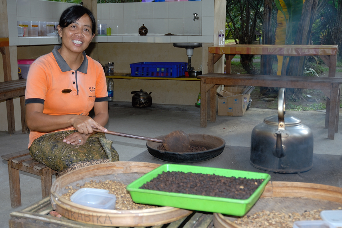 Balinese preparing Kopi Luwak