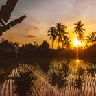 Balinese Sunset