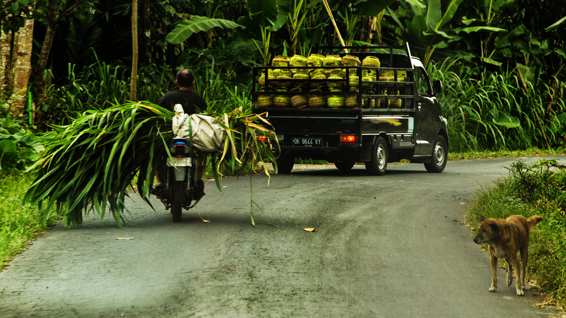 Balinesische Impressionen 10 (Transportation 1)