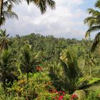  balinesische Landschaft