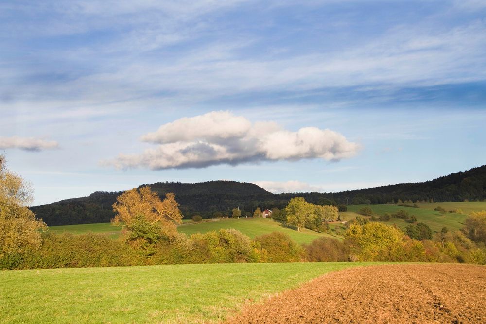 Balingen "an der Stapfel"