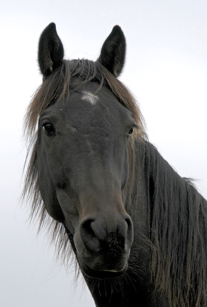 Balino