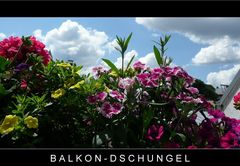 Balkon-Dschungel