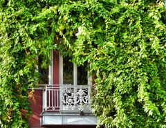 Balkon im Grünen