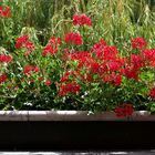 Balkon im Pflegeheim