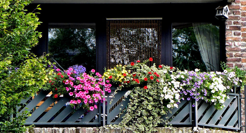 Balkon im Sommer