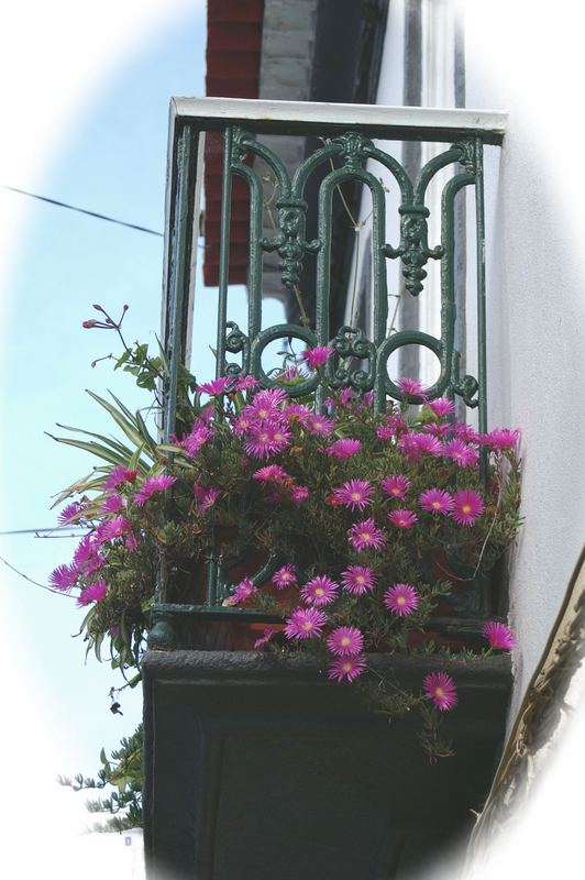 Balkon im Süden