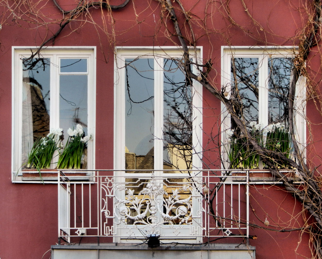 Balkon in der Kölner Altstadt