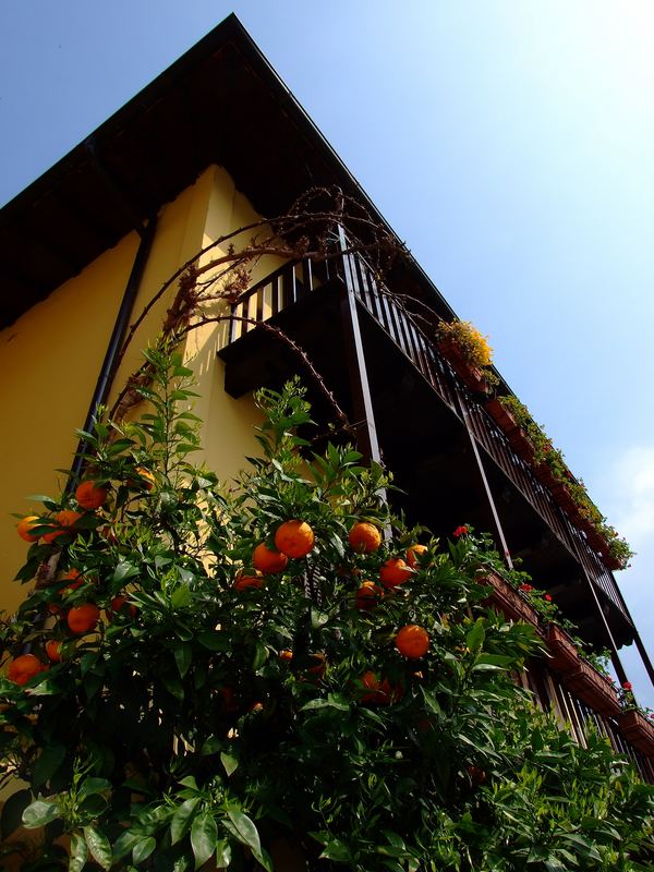 Balkon in Limone (Gardasee)