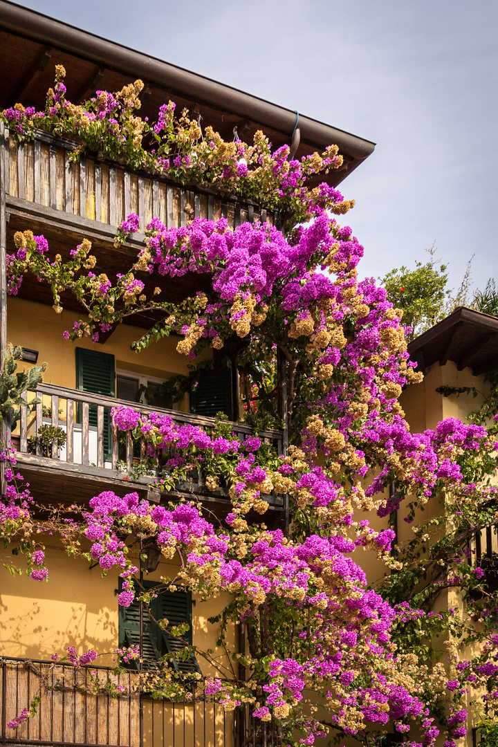 Balkon in pink