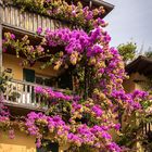 Balkon in pink