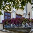 Balkon mit Blumen