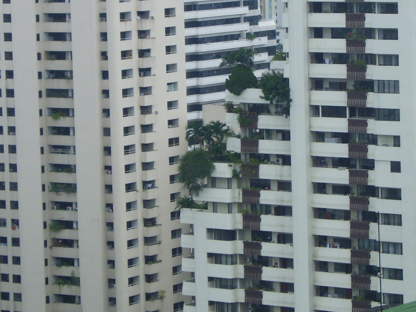 Balkonbepflanzung