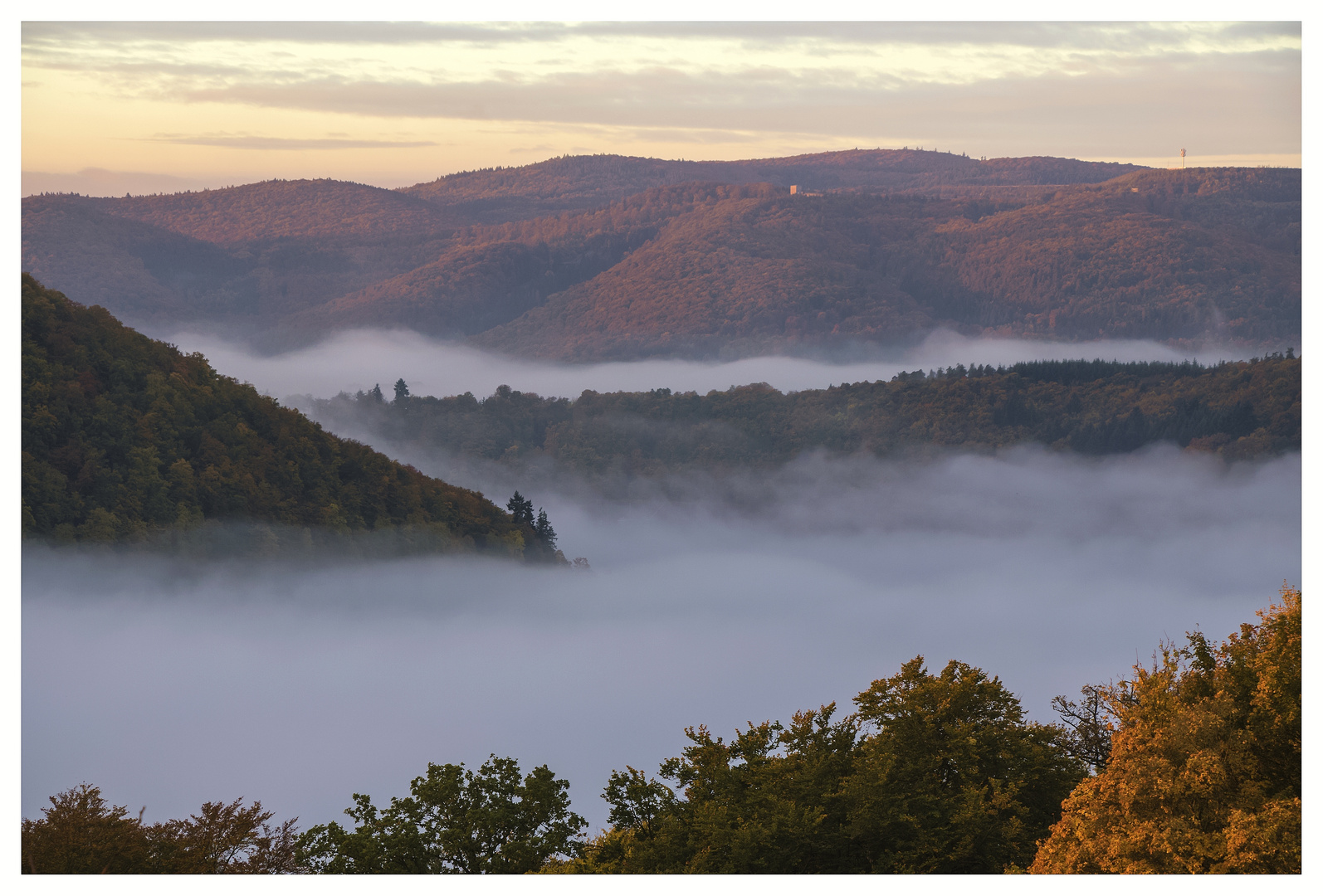 Balkonblick an einem Herbstmorgen