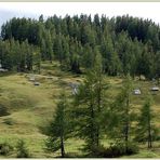 Balkonblick - einmal in grün...