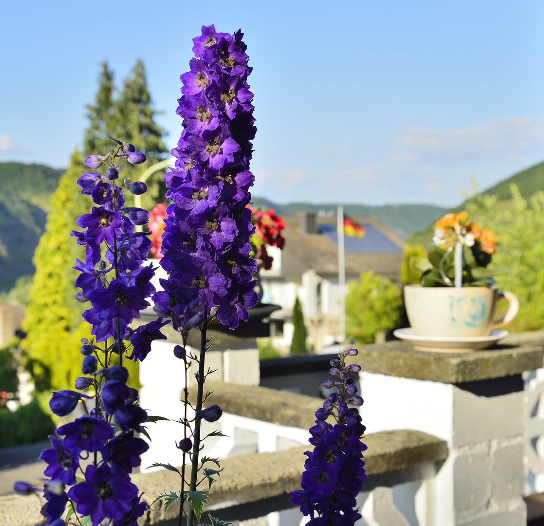 Balkonblick im Moseltal