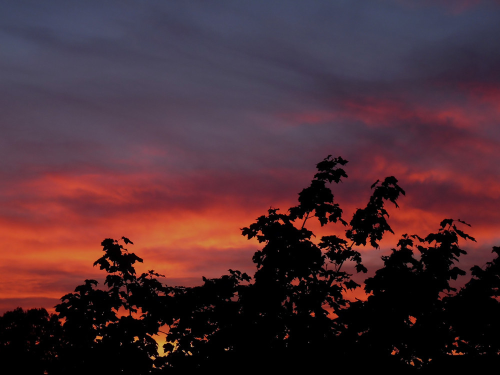 Balkonblick mit der Panasonic FZ 28