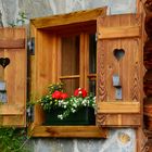 Balkonblumen am "Fensterbankerl"