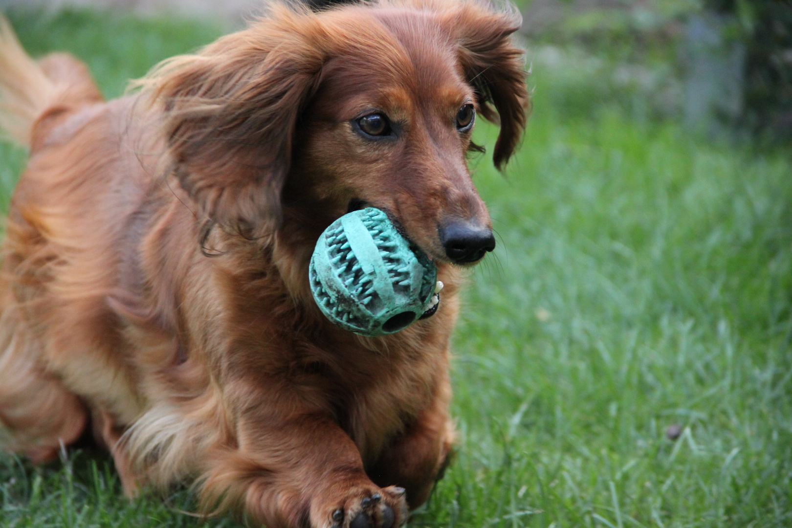 Ball gefangen