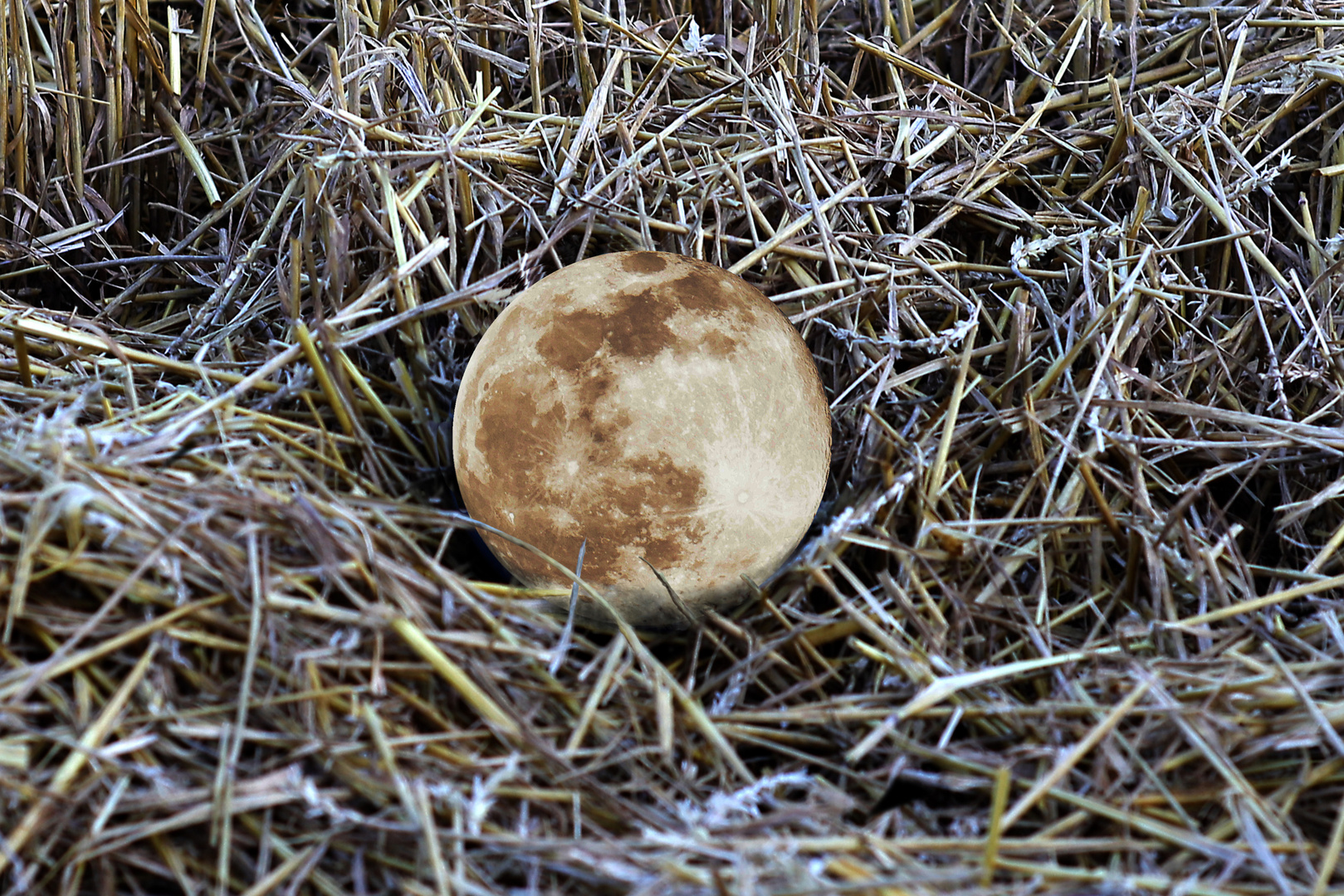 Ball im Feld