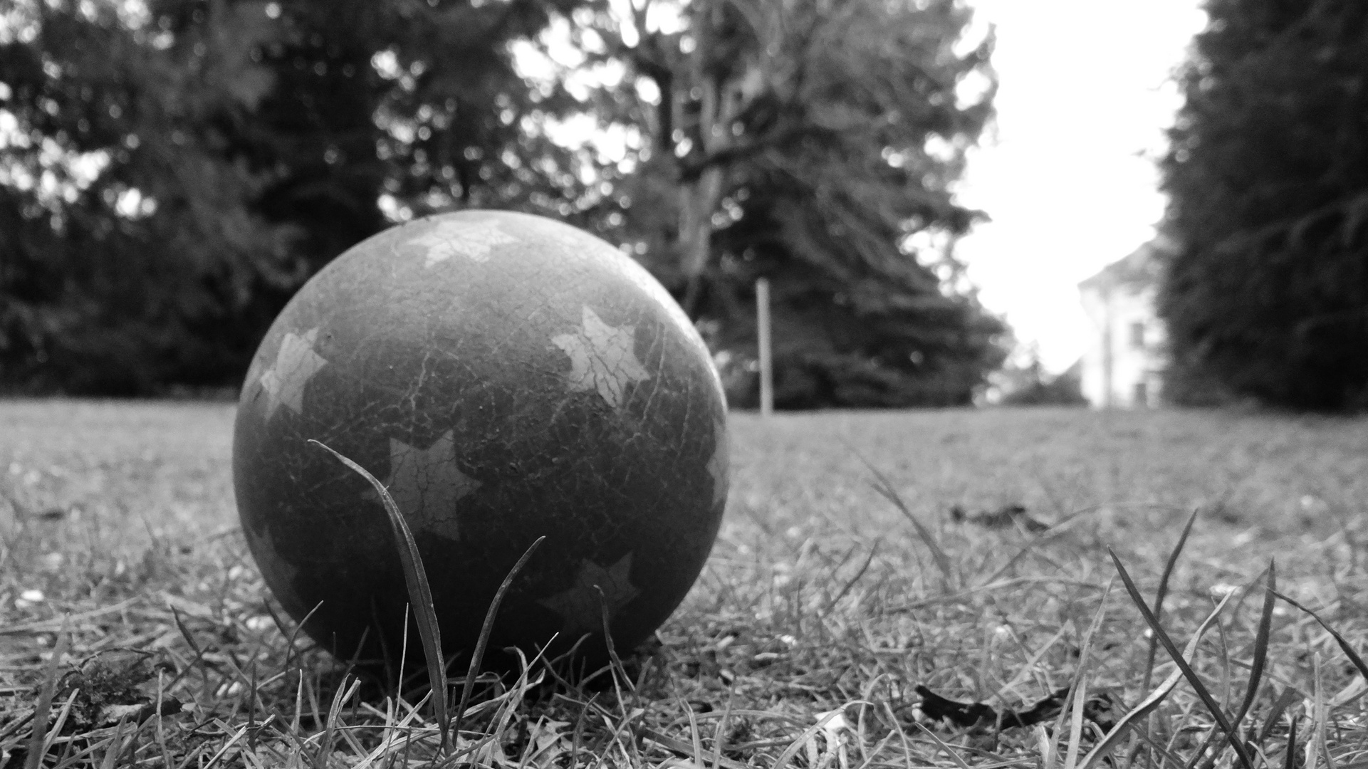 Ball im Garten