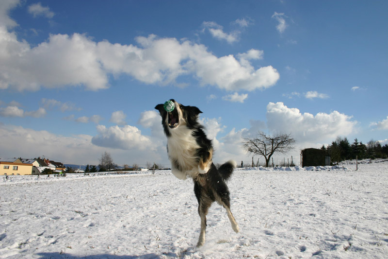 Ball ohne Chance