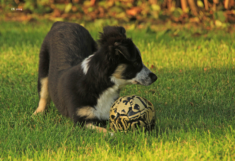 Ball spielen 2