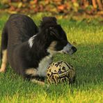 Ball spielen 2