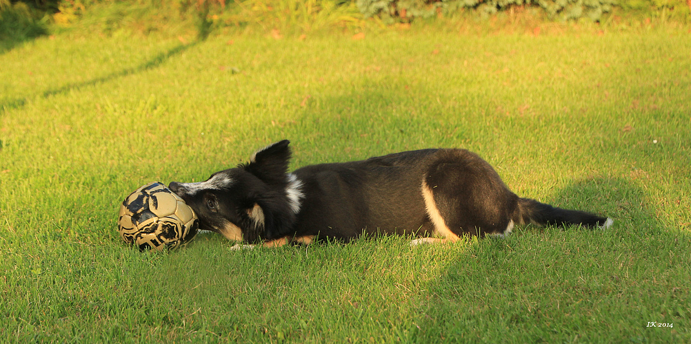 Ball spielen 3