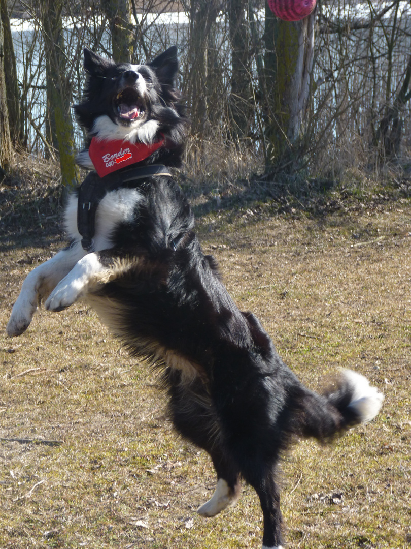 Ball spielen