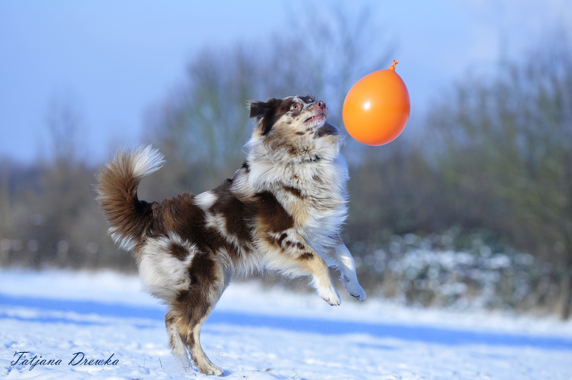 Ball spielen