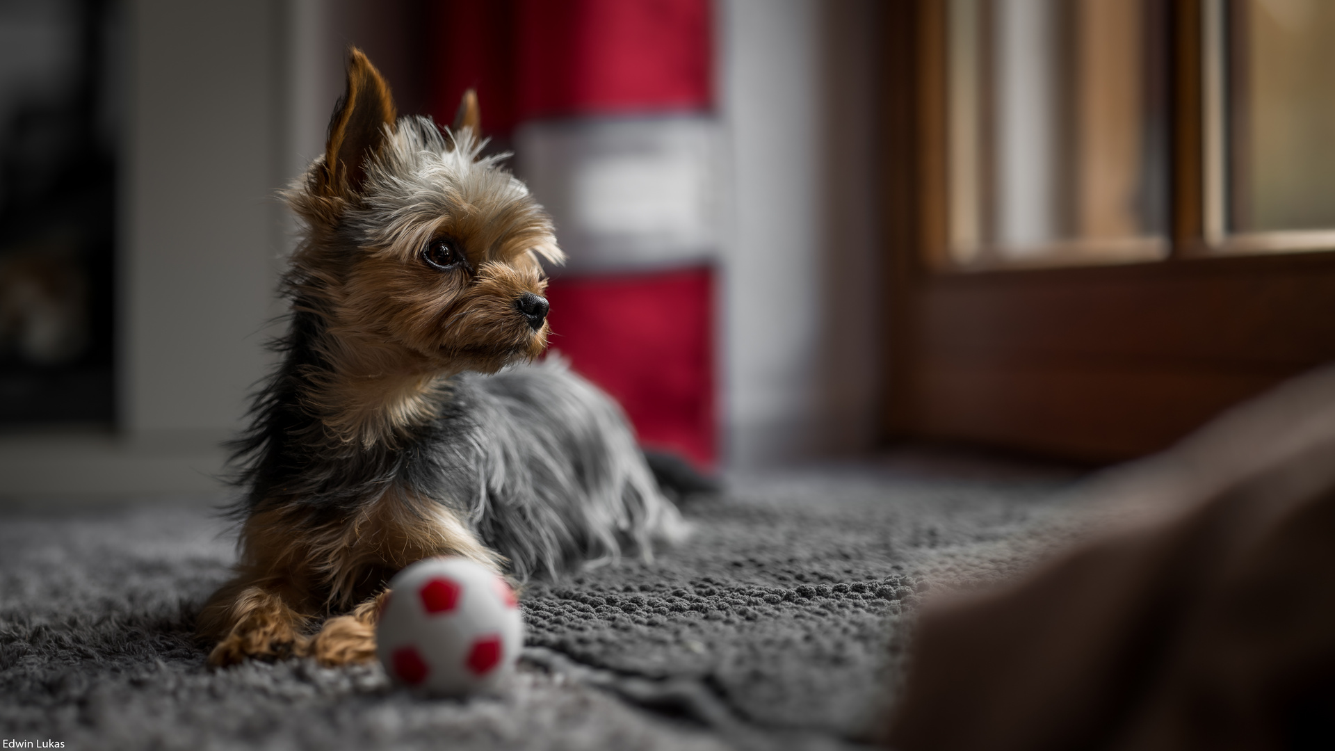 Ball spielen...........:-))