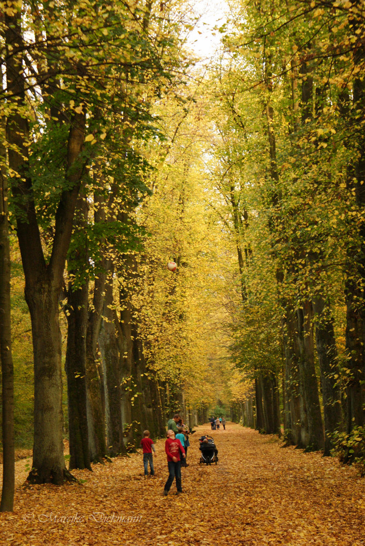 Ball spielender Junge im herbstlichen Bremer Bürgerpark