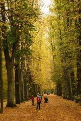 Ball spielender Junge im herbstlichen Bremer Bürgerpark