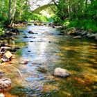 Ballade au bord de la rivière 