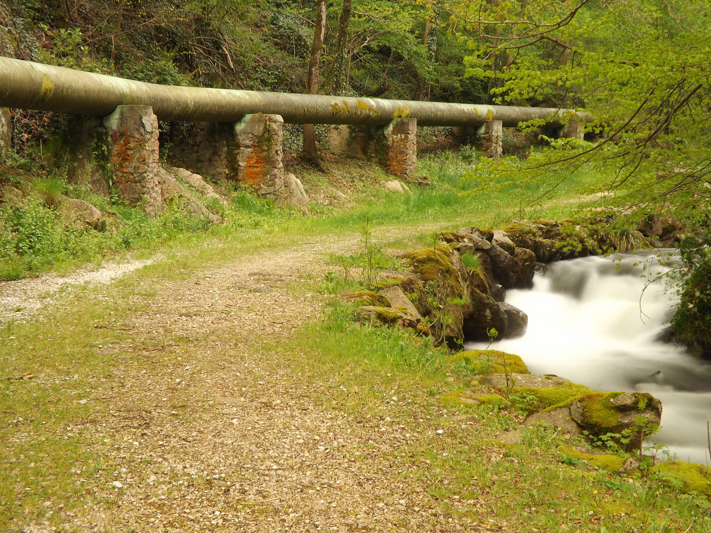 ballade au cour de l'eau