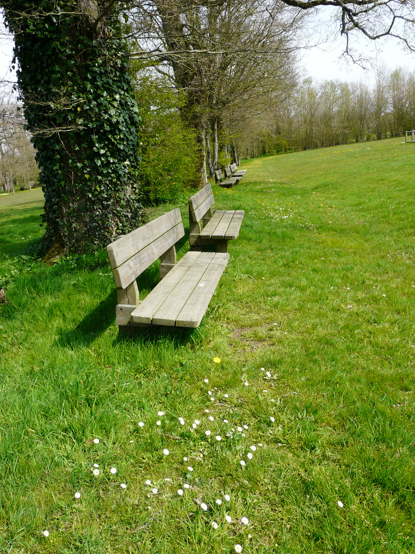 Ballade autour du logis de La Chaboterie (Vendée).