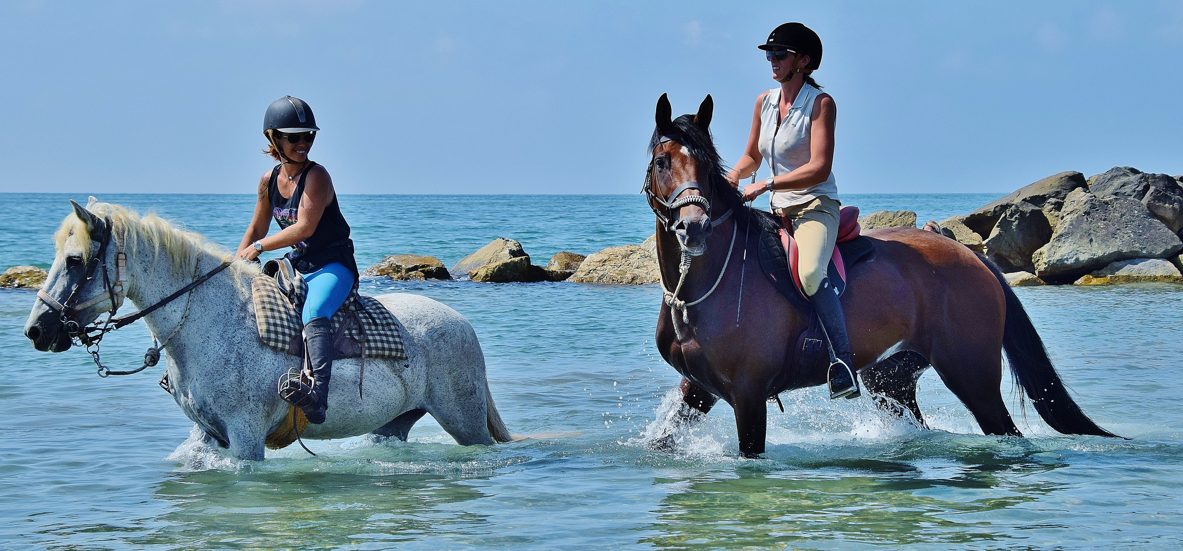 Ballade camarguaise.