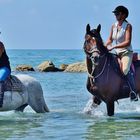 Ballade camarguaise.