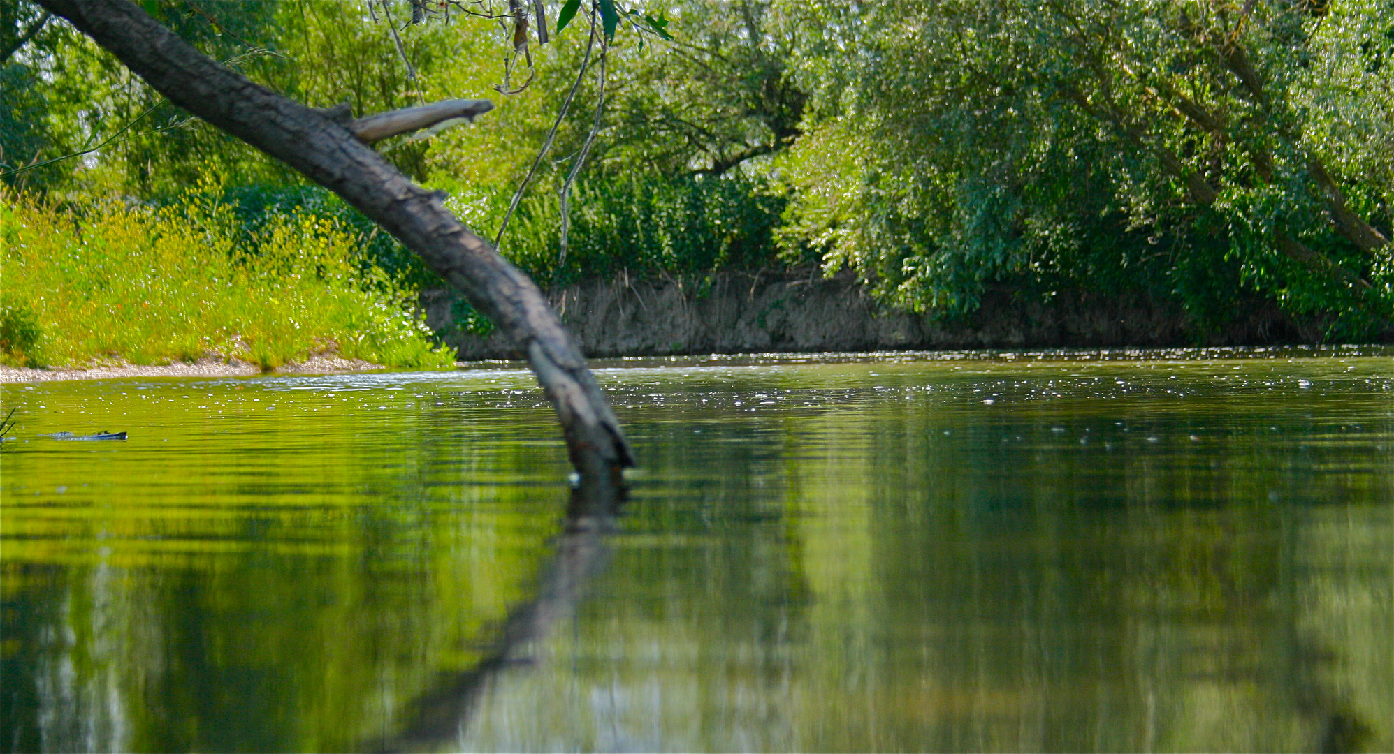 ballade canoe sur l'ill