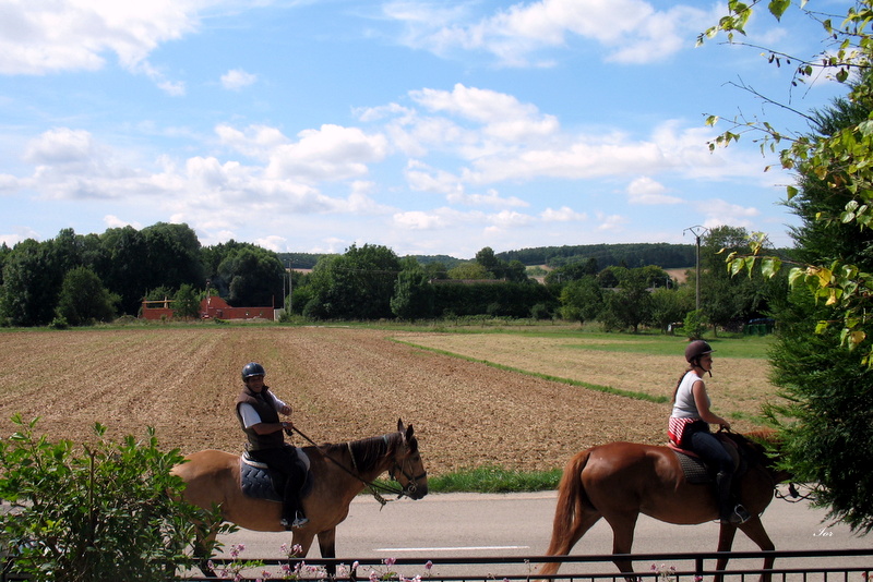 Ballade dans la campagne !